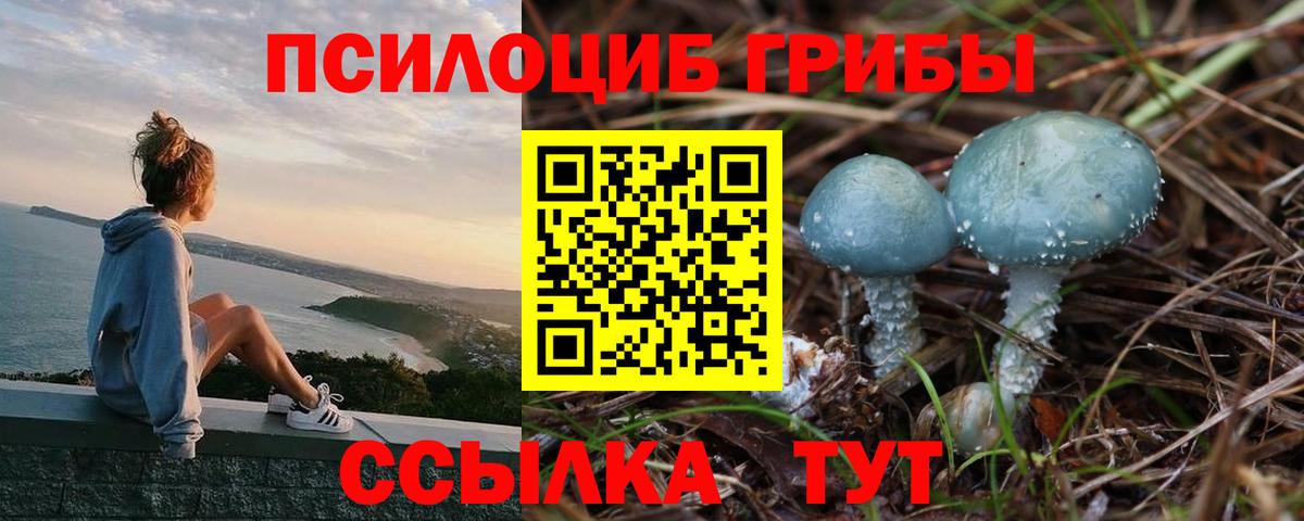 Псилоцибиновые грибы GOLDEN TEACHER  Псилоцибиновые грибы Cubensis  Берёзовский  Вход с VPN 